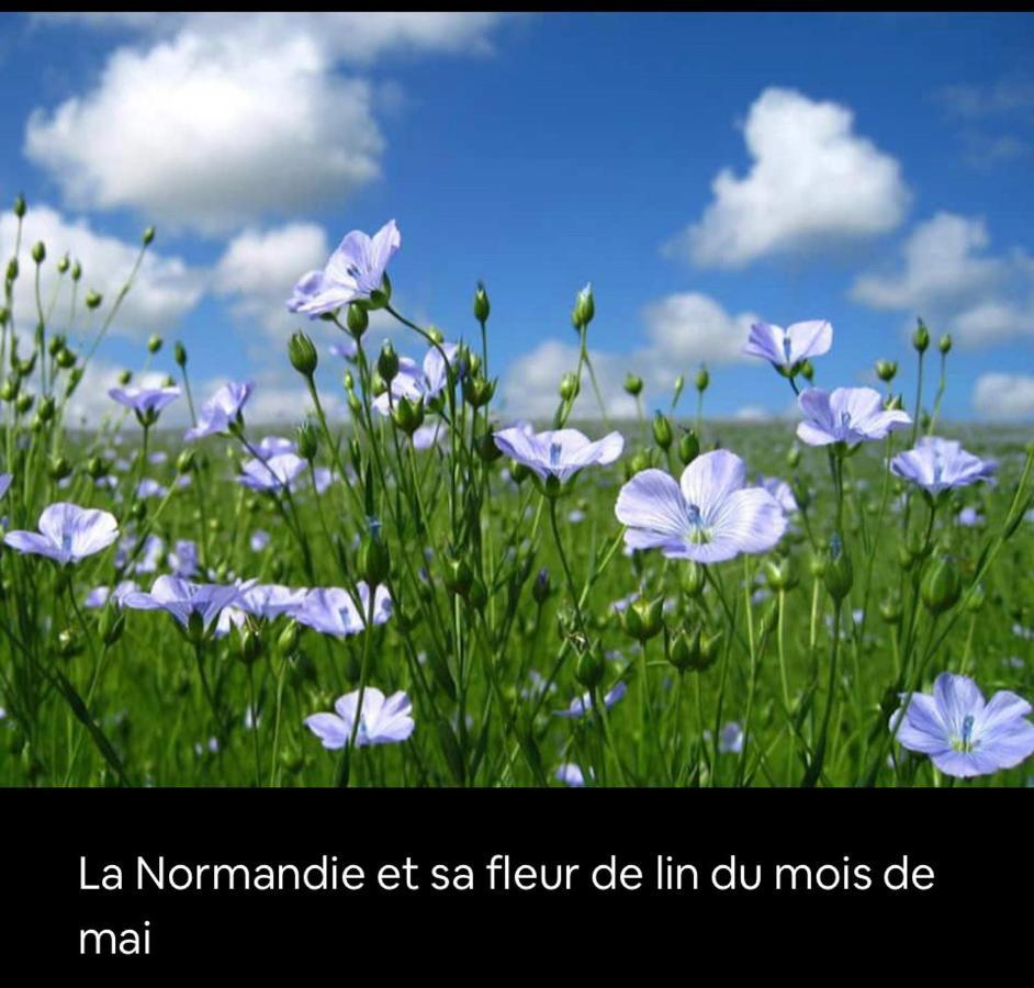 Appartement Veules Roses , La Cressonniere: « Veules & Victor «  Екстер'єр фото